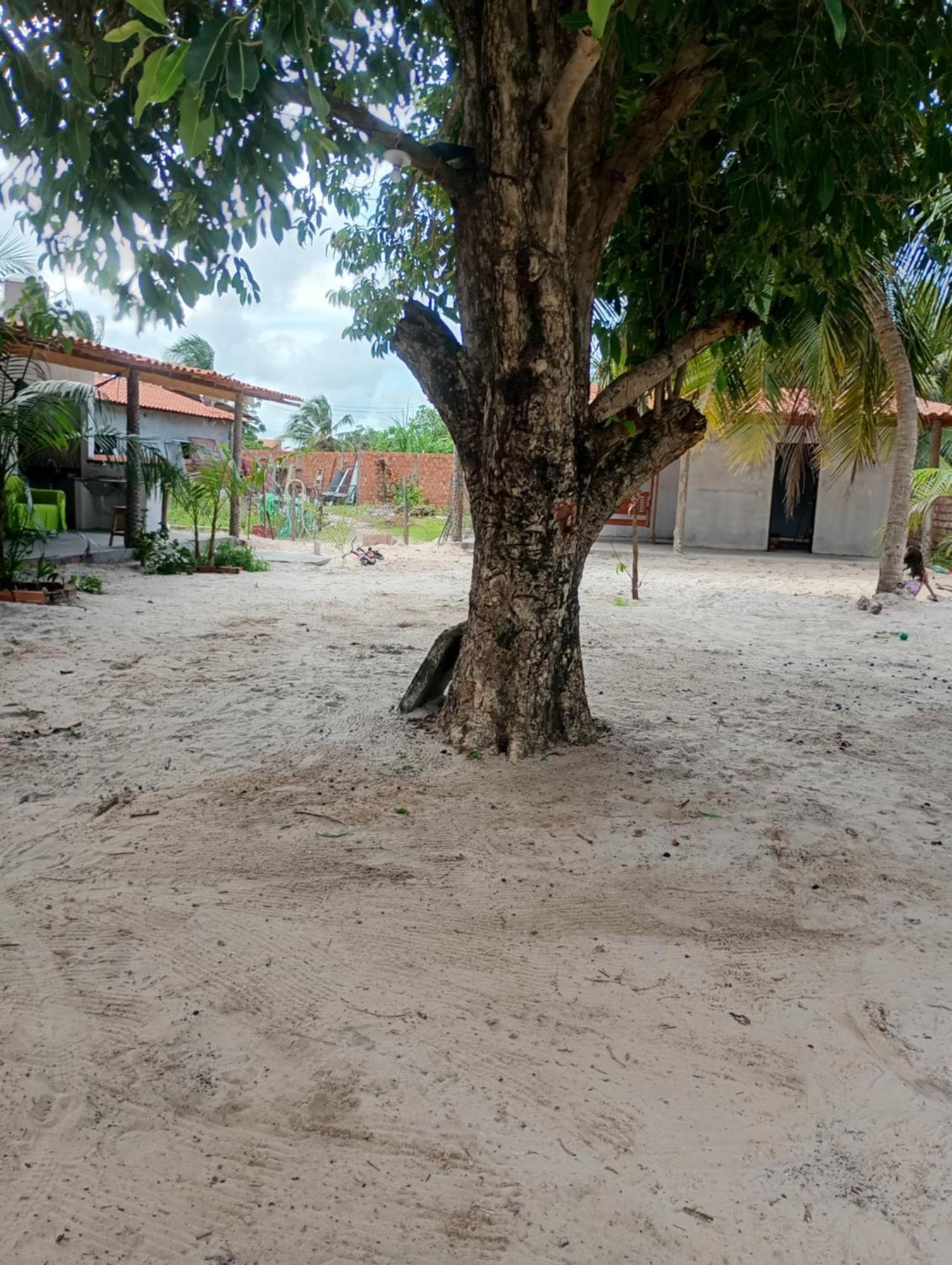 Hostel E Camping Na Rua Das Flores Santo Amaro do Maranhao Exterior photo